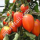 Томат Гібрид Тарасенка 7 0.1 г, фото 3