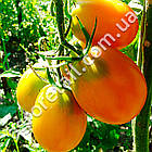 Томат Де-барао гігант жовтий 0.1 г Gl Seeds, фото 2