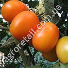 Томат Де-барао золотий 0.1 г Gl Seeds, фото 2