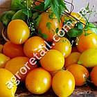 Томат Золотий самородок 0.1 г Gl Seeds, фото 3