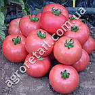 Томат Іванич F1 0.1 г, фото 2