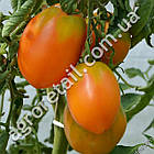 Томат Кенігсберг 0.1 г Gl Seeds, фото 4