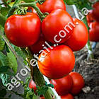 Томат Магнат 0.15 г Gl Seeds, фото 4