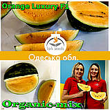 Насіння кавуна з помаранчевою (жовтою) м'якоттю Оранж Лакшері F1 / Orange Luxury F1 , LARK SEEDS (США), 1000 насінин, фото 3