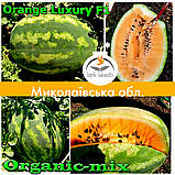 Насіння кавуна з помаранчевою (жовтою) м'якоттю Оранж Лакшері F1 / Orange Luxury F1 , LARK SEEDS (США), 1000 насінин, фото 4