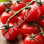 Томат Ред Черрі 0.1 г Gl Seeds, фото 2