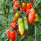 Томат Сан-Марцано 0.15 г Gl Seeds, фото 3