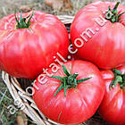 Томат Цукровий Пудовичок 0.15 г Gl Seeds, фото 2