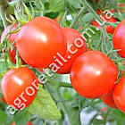 Томат Північна королева 0.1 г Gl Seeds, фото 3