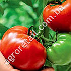 Томат Три товстуни 0.15 г Gl Seeds, фото 2