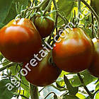 Томат Трюфель чорний 0.1 г Gl Seeds, фото 3