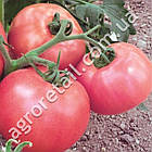 Томат Фаворит 0.1 г Seeds, фото 4