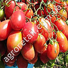 Томат Чіо-чіо-сан 0.15 г Gl Seeds, фото 2