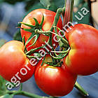 Томат Чумак 0.25 г Gl Seeds, фото 3