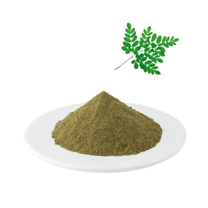 Екстракт Листя Трави Moringa Oleifera Порошок 1 кг