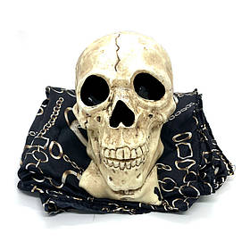 Фокус Літальний череп  ⁇  Zombie Skull