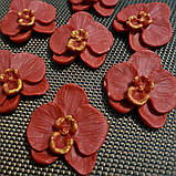 Орхідеї (бардові) плоскі., фото 3