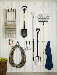 Дача, сад і город