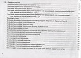 В'ялов С. С. Невідкладна допомога: практичне керівництво 11-е видання 2020 рік, фото 8