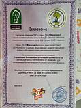 Ранець шкільний форма ТМ 1 Вересня для дівчинки H-17 551668 Винкс( Winx ) Укр, фото 2