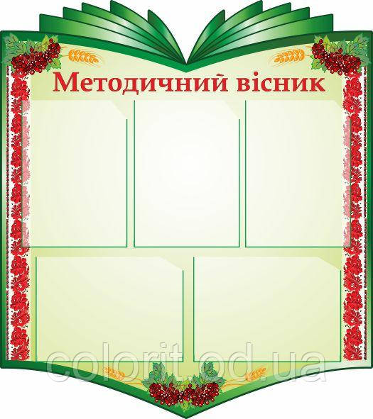 Методичний представник