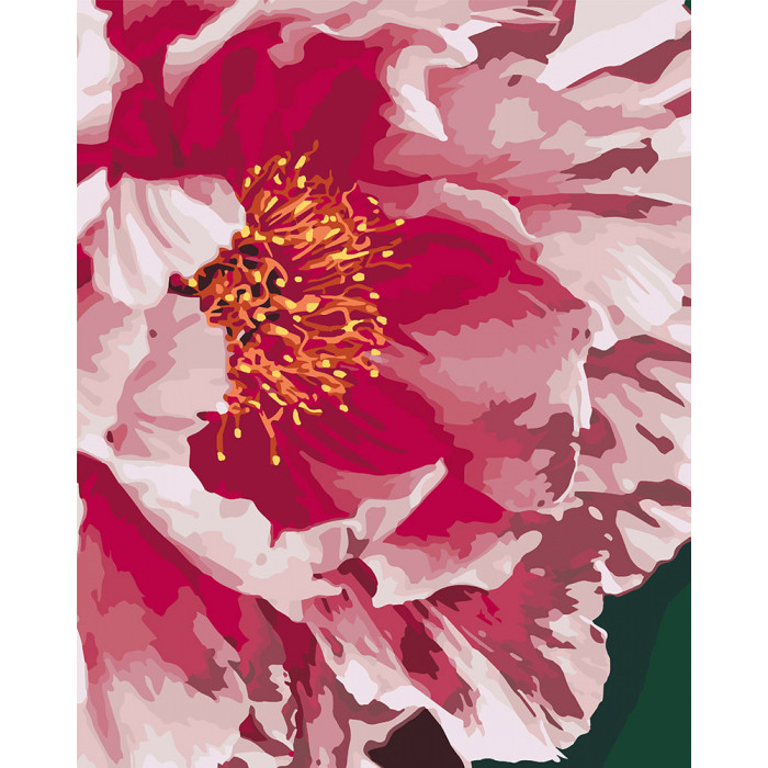 Картина за номерами 40х50 см Ідейка (без коробки) Півонія (КНО 3039), фото 1