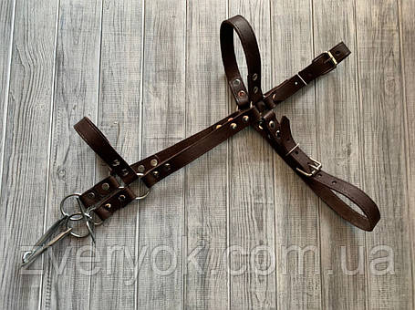 Вуздечка для коня Horse Stall шкіряна. Вуздечки для коня з трензелем., фото 1