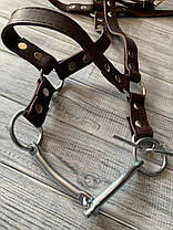 Вуздечка для коня Horse Stall шкіряна. Вуздечки для коня з трензелем., фото 5
