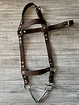 Вуздечка для коня Horse Stall шкіряна. Вуздечки для коня з трензелем., фото 3