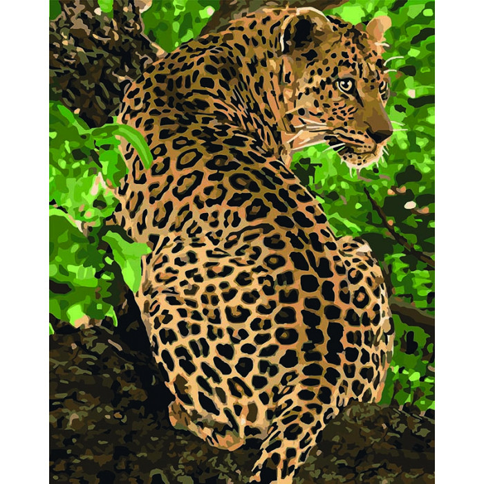 Картина за номерами 40х50 см Ідейка (без коробки) Леопард (КНО 4101), фото 1