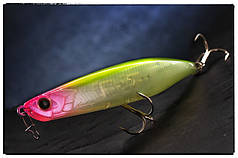 Bent Minnow