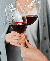 Набір келихів Bohemia Fulica 400 мл 6 шт 1SF86/400 8682