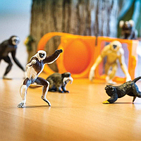 Набір фігурок Safari Ltd Примати (Обезіни), 10 шт. у тубусі, "Дикі тварини", 100323