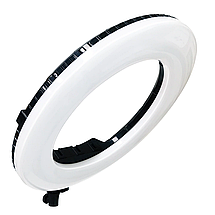 Кільцевий LED світло AX480S Bi-Color Світлодіодна кільцева лампа зі стійкою, фото 3