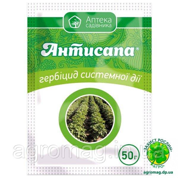 Антисапа 50г
