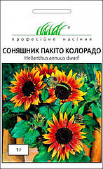 Профсемена. Соняшник Пакіто Колорадо, (Квіт червоно-коричневий, Фасовка 1 г.)