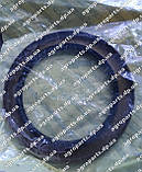 Сальник 1963839C1 задній осі CNH OIL SEAL Case 19638391 Кейс манжет, фото 8