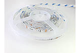 Світлодіодна стрічка ESTAR SMD RGB 3535/60 (IP20) premium 12 V, фото 2