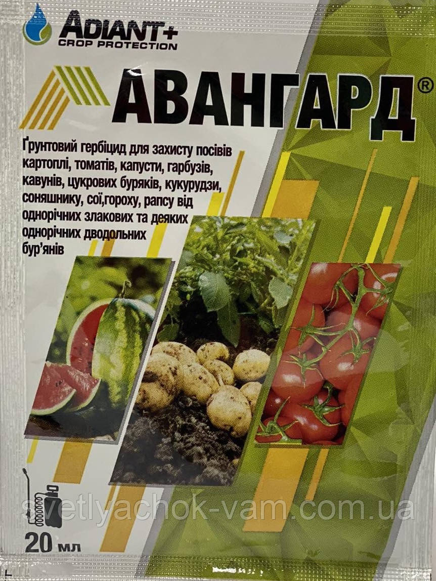 Авангард гербіцид для захисту посівів картоплі, томатів, баштанних, цукрових буряків, упаковка на 1 сотку