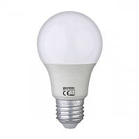 Led лампа Horoz Electric A60 12W E27 6400K Premier-12