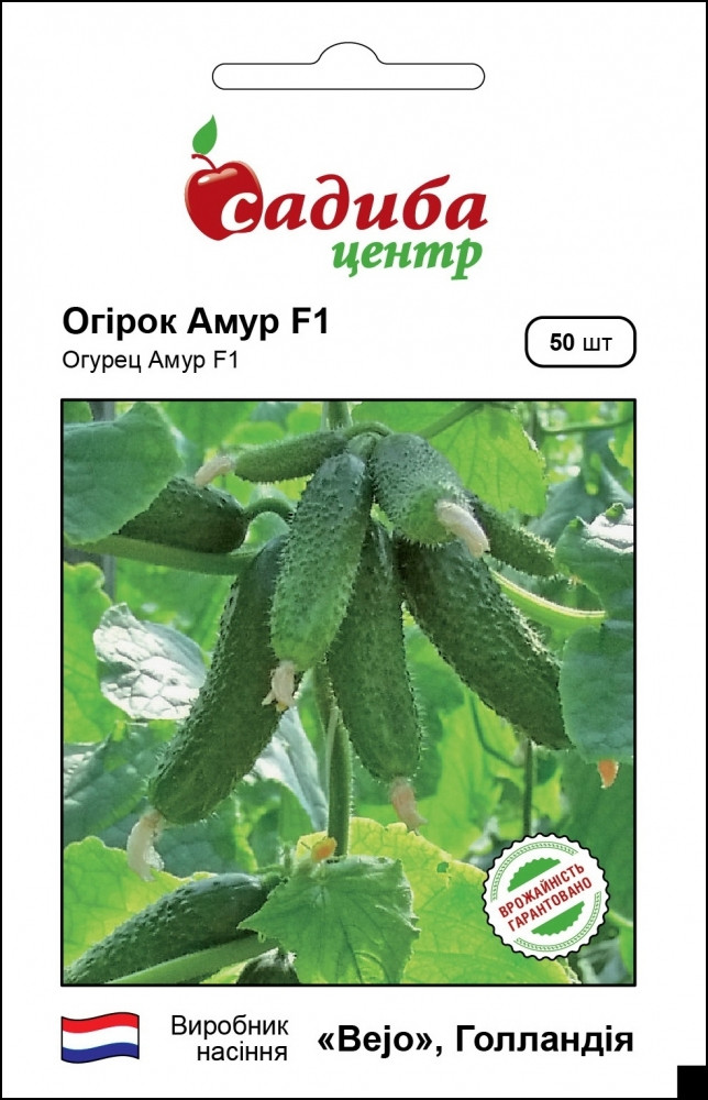 Огірок Амур F1, 50 шт.