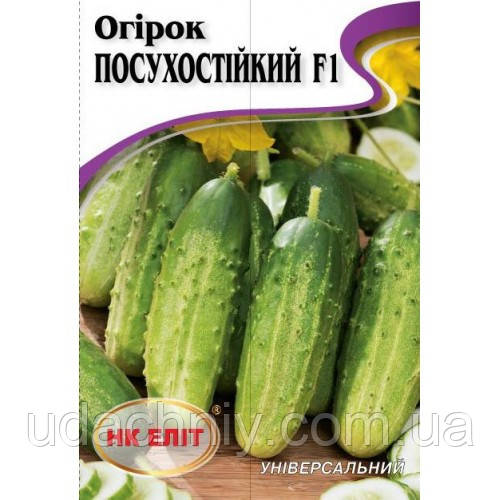 Насіння огірок Посухостійкий F1 15 шт.