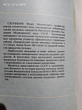 Все про їжу з точки зору хіміка. Олексій Нечаєв, фото 7