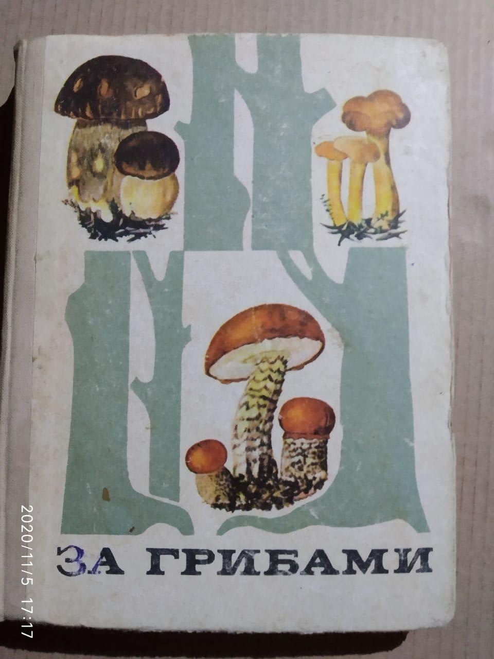 За грибами, Ст. Тойбис