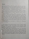 Їстівні та отруйні гриби, Зерова М. Я., фото 5