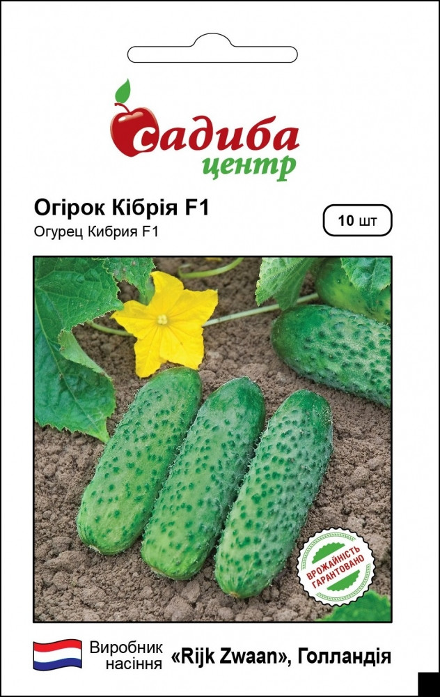 Огірок Кібрія F1, 10шт.