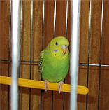 ТЕРТОЧКА ДЛЯ МІЛКИХ ПТИЦ, фото 3