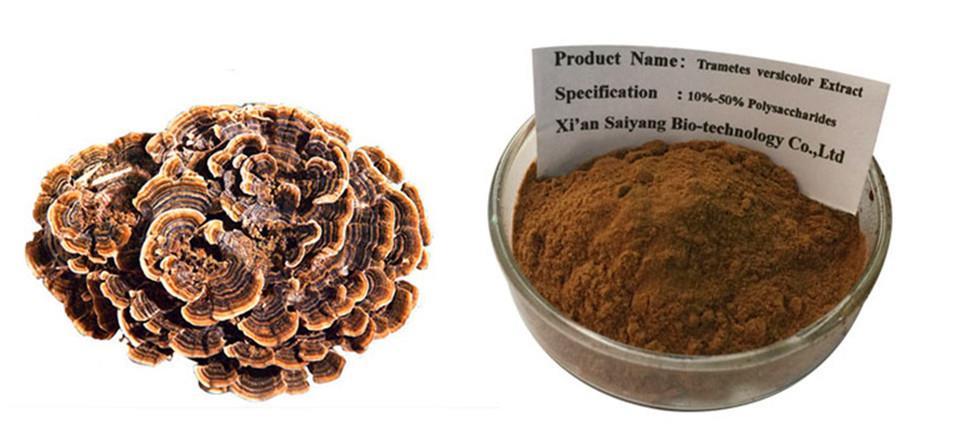 Екстракт Coriolus Versicolor - полісахарид Порошок 1 кг