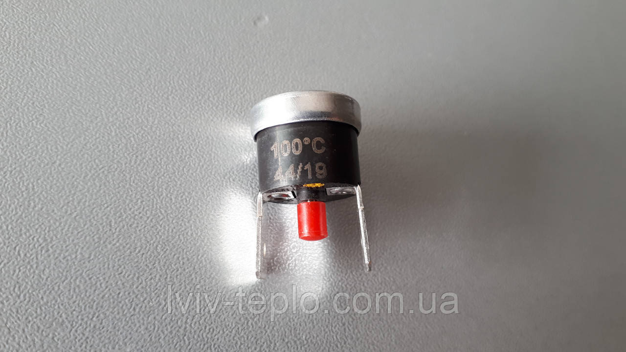 0020094666 Термостат біметалічний 100 °C Protherm, фото 1