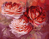 Картина по Номерам Красные розы 40х50см RainbowArt